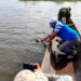 Incautan 16 tortugas y las regresan a su hábitat