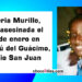 Tres muertos en zona rural de Medio San Juan