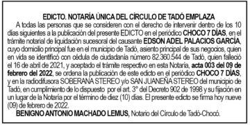 Edicto Edson Adel Palacios García