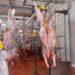 Unguía: $ 1.088 millones para una planta de beneficio animal