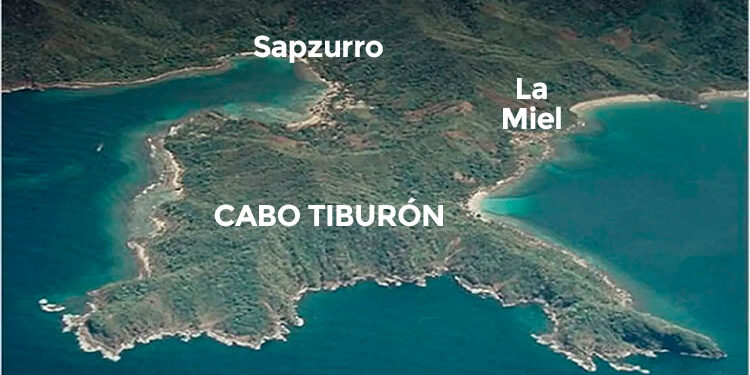 Inician trámites para que el Darién chocoano sea declarado reserva de biosfera por la Unesco