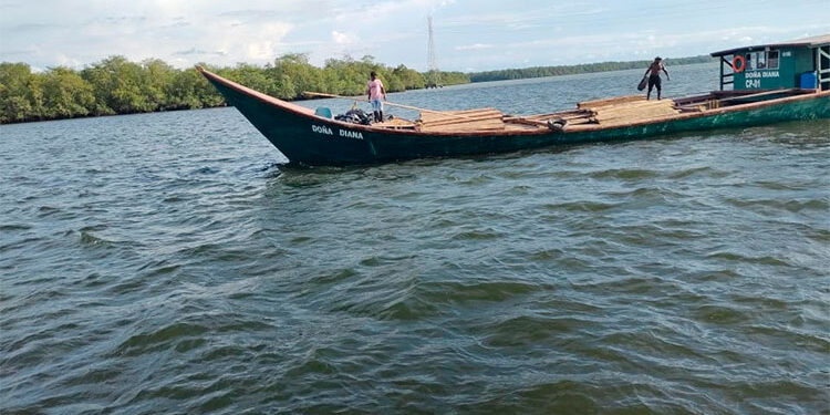 Incautan más de 180 metros cúbicos de madera en el Litoral de San Juan
