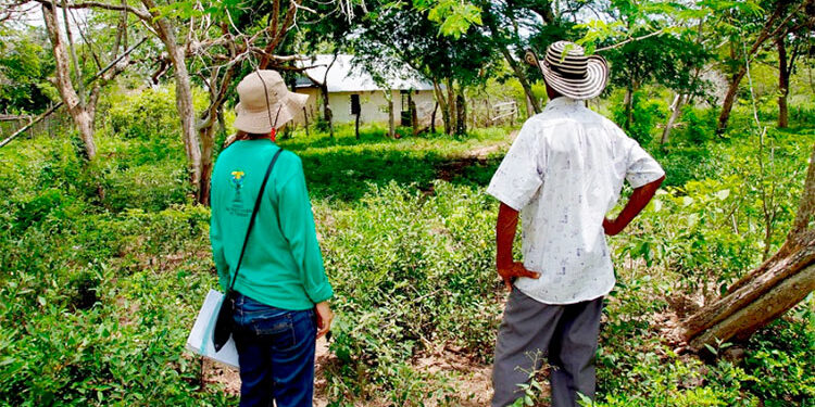 “En el Chocó solo se ha devuelto el 15% de las tierras a restituir”: Cinep
