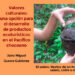 Valores culturales: una opción para el desarrollo de productos ecoturísticos en el Pacífico chocoano