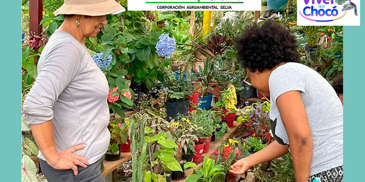 El vivero Coagroselva obtuvo el registro ICA