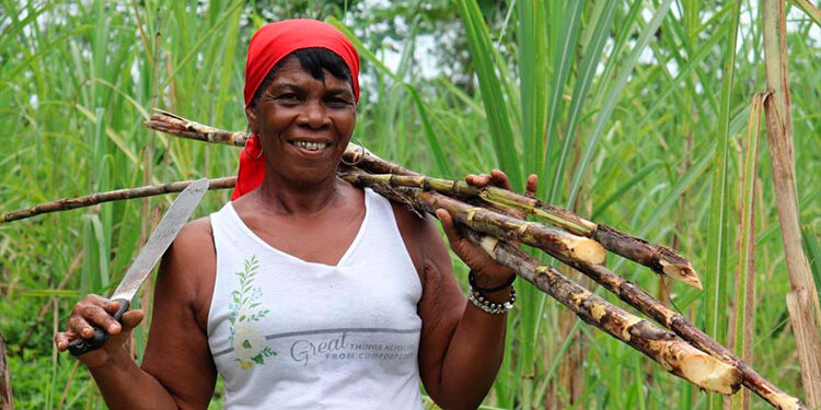 Productoras de viche en Bojayá, Chocó: ancestralidad, unión y resistencia
