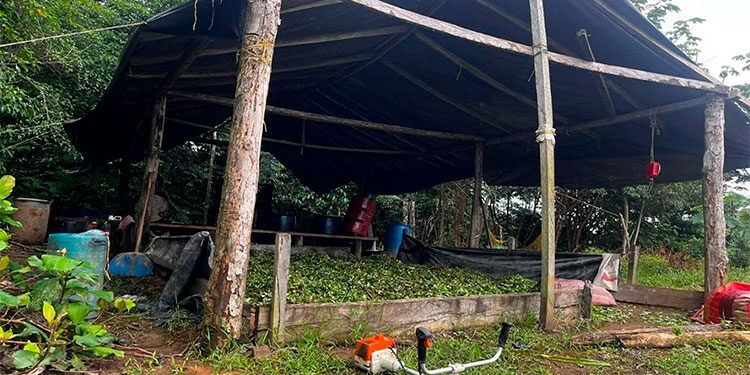 Carmen de Darién: destruyen tres laboratorios de coca