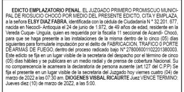 Edicto Emplazatorio Elsy Díaz Fabra