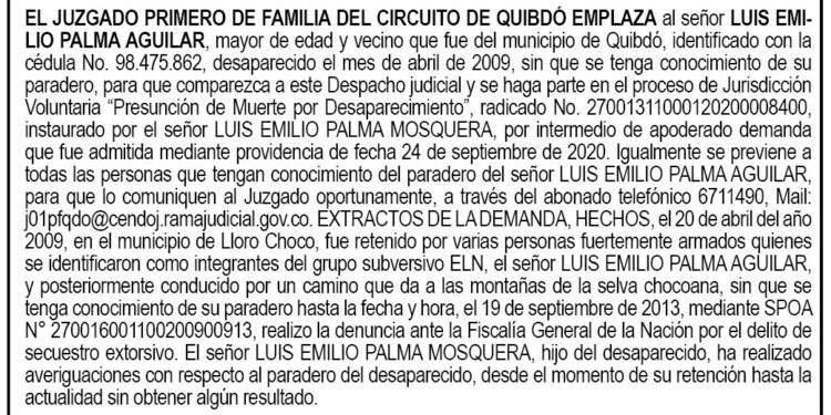 Emplazamiento Luis Emilio Palma Aguilar