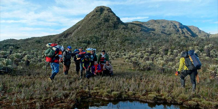 Nuevos reportes de ubicación y calidad de agua en los humedales altoandinos del páramo del Duende, Chocó