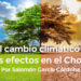 El cambio climático y sus efectos en el Chocó