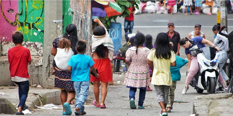 Desplazamiento de indígenas de Carmen de Atrato a Medellín - Chocó7días.com