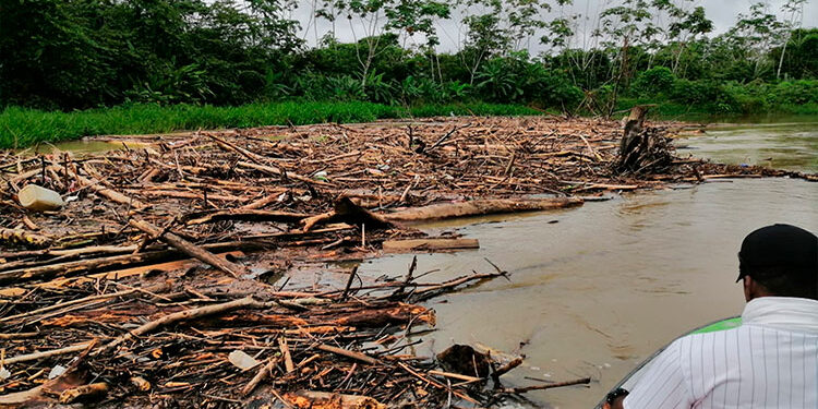 Río Jiguamiandó: sedimentación y empalizadas