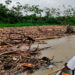 Río Jiguamiandó: sedimentación y empalizadas