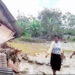 Graves daños por inundaciones en Jiguamiandó