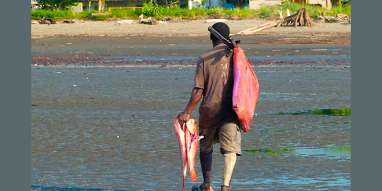 Codechocó: $ 876 millones para manejo ambiental en Playona, Tribugá, Cabo Corrientes y Bajo Baudó