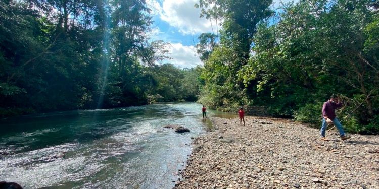 Admiten demanda que busca recuperar tierras de resguardo indígena de Riosucio, Mutatá y Dabeiba