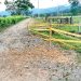 $ 33 mil millones para la vía Acandí-Peñaloza