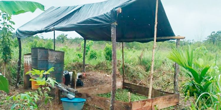 Destruyen 20 laboratorios de coca en Riosucio y Carmen de Darién