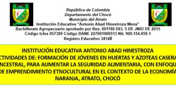 I. E. «Antonio Abad Hinestroza»: Formación de jóvenes en huertas y azoteas caseras ancestral, para aumentar la seguridad alimentaria, con enfoque de emprendimiento etnocultural en el contexto de la economía naranja. Atrato, Chocó.