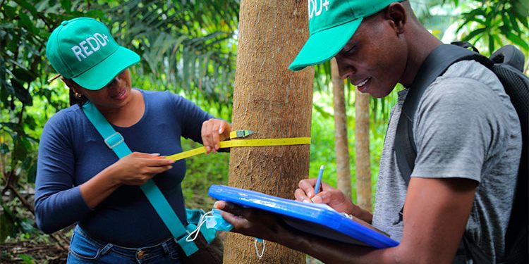 Dos organizaciones del Chocó presentan proyectos de protección de bosques para generar ingresos
