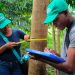 Dos organizaciones del Chocó presentan proyectos de protección de bosques para generar ingresos