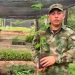 Sustituyen coca por árboles nativos en el norte del Chocó