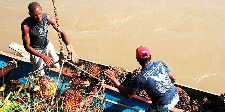 El Chocó: radiografía de un departamento que resiste el abandono estatal