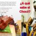 ¿A qué sabe el Chocó?