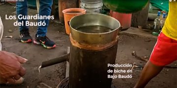 Los Guardianes del Baudó