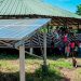 Indígenas de Carmen de Atrato y Unguía recibieron paneles solares