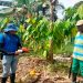 Lloró: capacitación a cultivadores de cacao