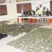Incautan material de guerra del Clan del Golfo en Chigorodó, Istmina.