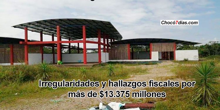 Otro escándalo de corrupción: hallazgos fiscales por más de $13 mil millones en proyecto de madera de la UTCH