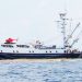 Sigue el saqueo pesquero de barcos extranjeros en el Pacífico chocoano