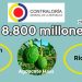 ¿Dónde están $ 7.300 millones del proyecto de aguacate hass en Carmen de Atrato y Riosucio?