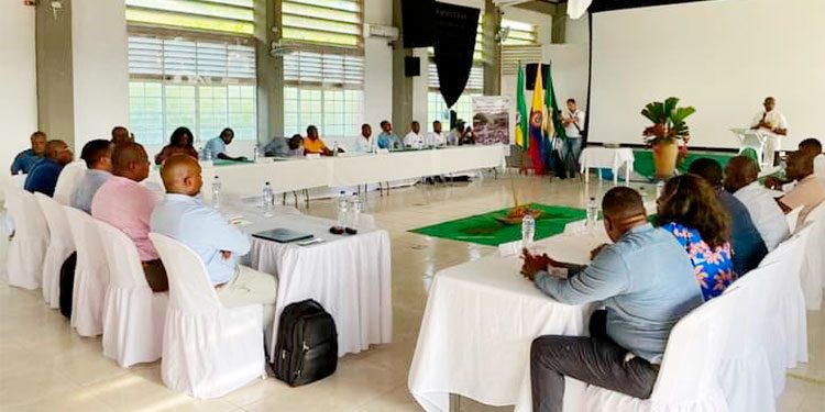 Alcaldes del San Juan-Baudó acuerdan proyectos para presentar al gobierno nacional