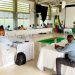 Alcaldes del San Juan-Baudó acuerdan proyectos para presentar al gobierno nacional