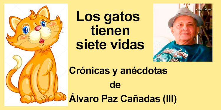 Los gatos tienen siete vidas