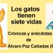Los gatos tienen siete vidas