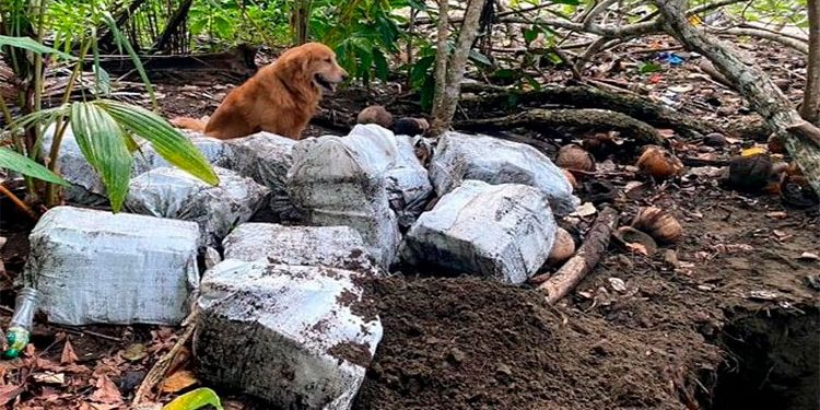 Incautan cocaína en Juradó por valor de $ 222 mil millones