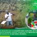 IIAP: Visiones de desarrollo para la competitividad sostenible del Chocó Biogeográfico, una ruta hacia el bienestar colectivo.
