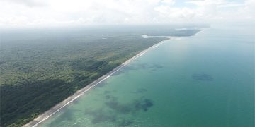Bajo Baudó: cuidado de ecosistemas y acueducto rural