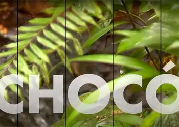 Recorre el Chocó (video)