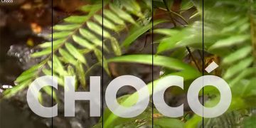 Recorre el Chocó (video)