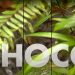 Recorre el Chocó (video)