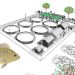 $ 6.000 millones para producción de tilapia en Atrato, Cértegui y Unión Panamericana