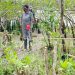 De la mano con las comunidades, el IIAP monitorea el estado y dinámica de la biodiversidad en la región