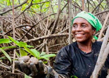 Piangueras del Chocó le siguen apostando a la sostenibilidad medioambiental