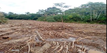 Riosucio: paro cívico para evitar la muerte del río Salaquí